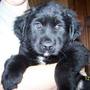 Meet your Posher, Suzanne